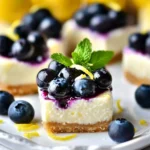 Keto Lemon Blueberry Cheesecake Bites First Image First Image